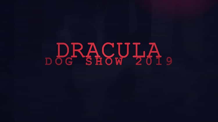 Dracula dog hot sale show