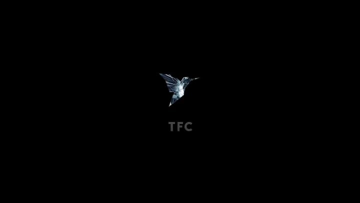 Logo Design X TFC