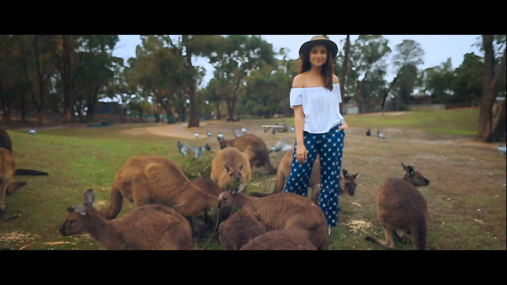 TA 2.0 - Melbourne - Nobody like you (30sec)