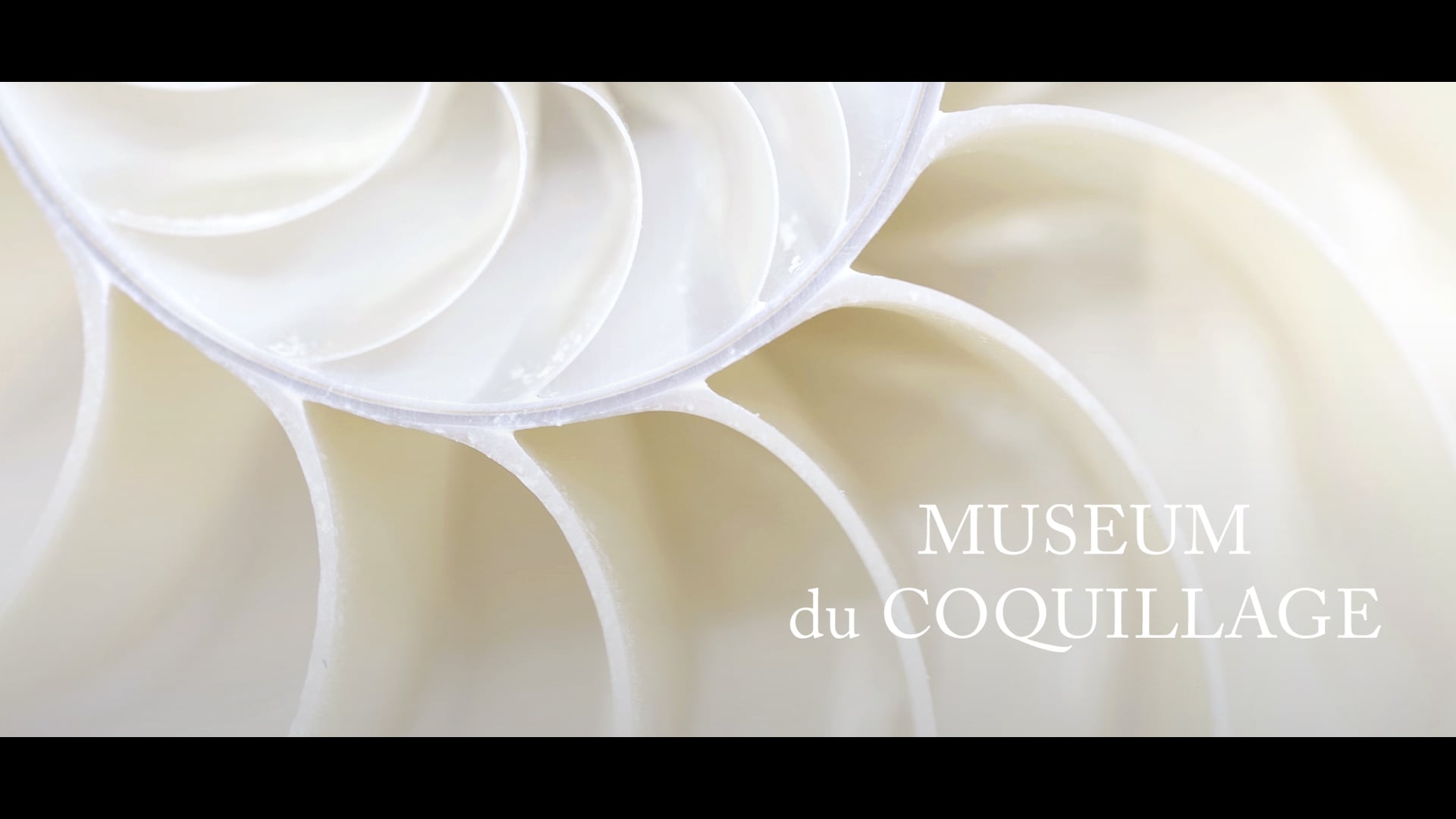 LE MUSEUM DU COQUILLAGE