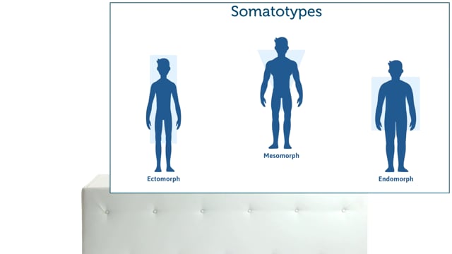 How does my patient's body type influence how I use the transducer?