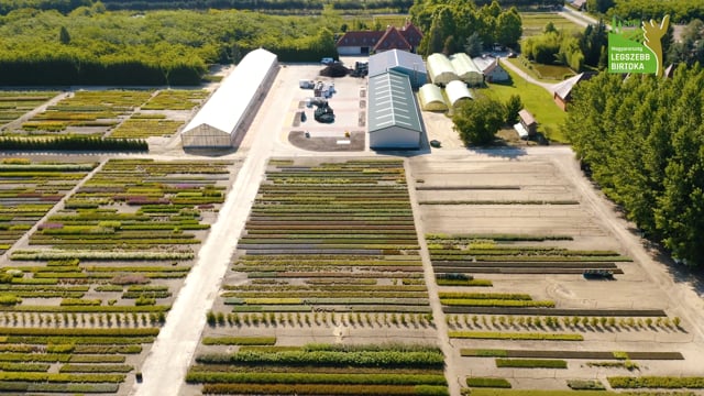 Magyarország Legszebb Gyümölcstermesztő és Kertészeti Birtoka 2019 - Hegede Kft.