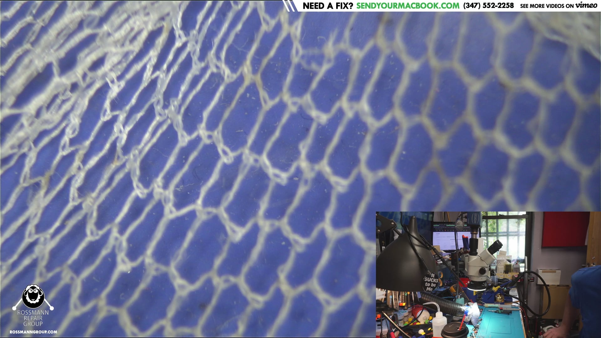Will Vimeo livestreaming work today? on Vimeo