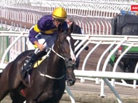 GRUNT YULONG FARM BRED TO WIN JUNE 2019