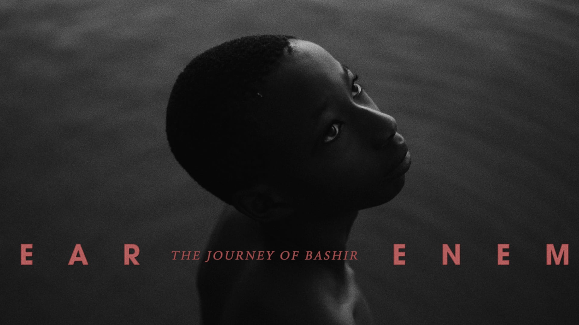 Dear Enemy - The Journey of Bashir