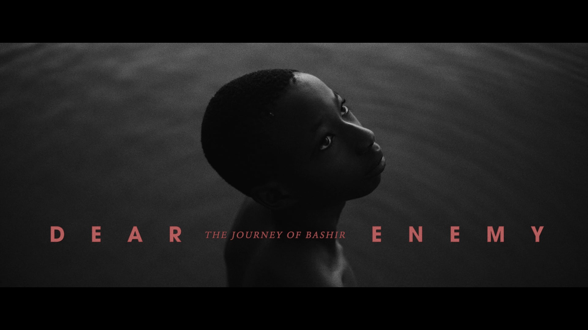 Dear Enemy - The Journey of Bashir