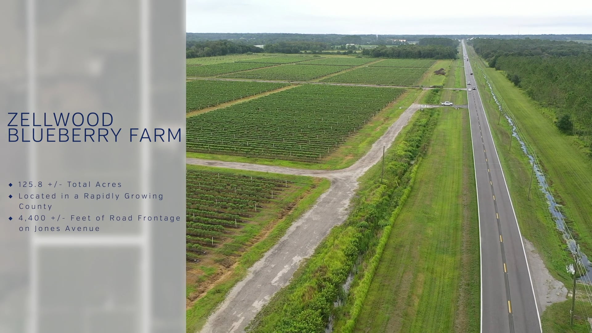 Zellwood Blueberry Farm on Vimeo
