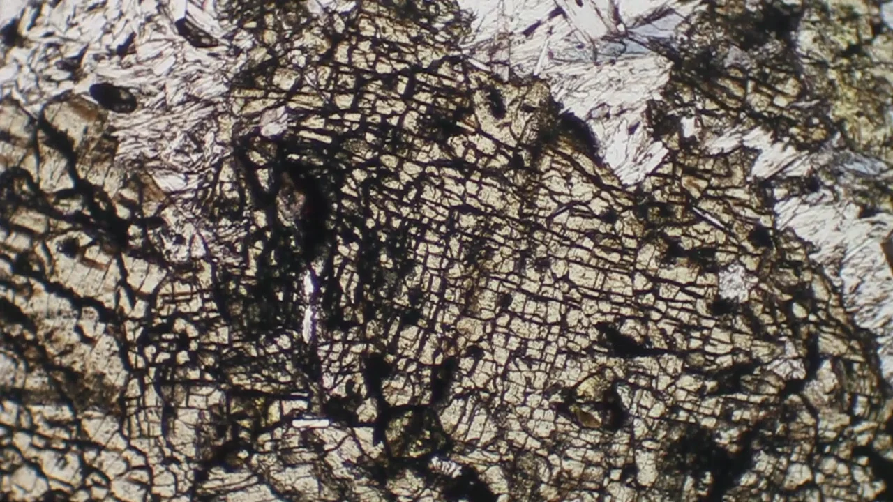 jadeite in thin section FKM-3 PPL on Vimeo