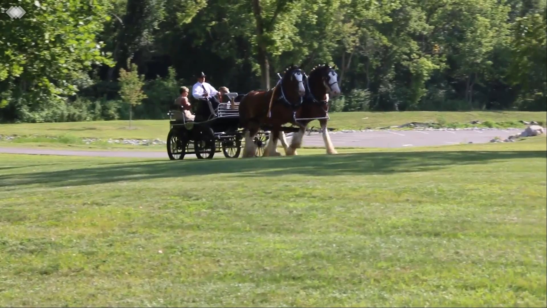 Promotional video thumbnail 1 for Blessed Beginnings Marriage Officiants