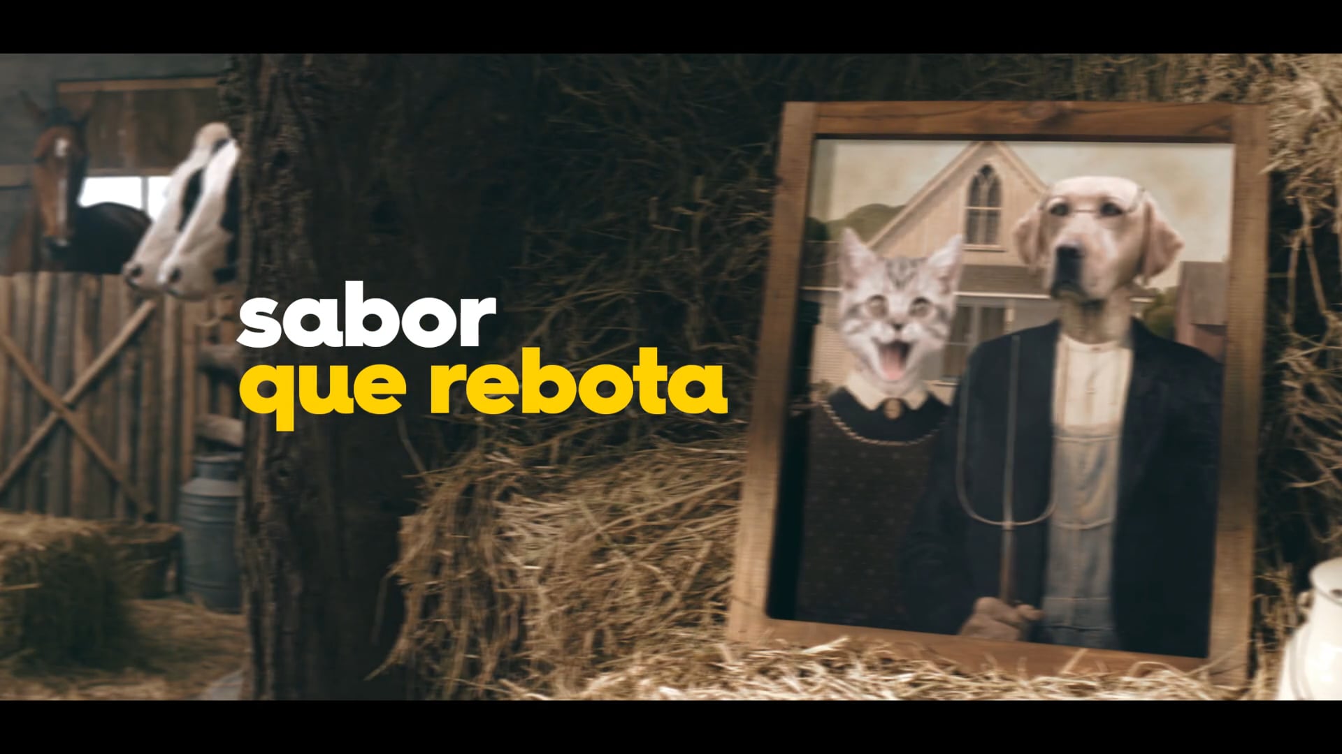 Fruna _ Rebote