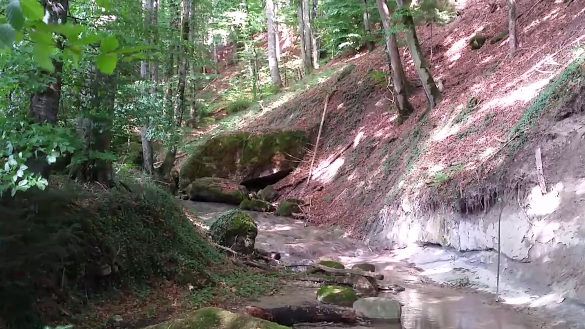 Le Ruisseau
