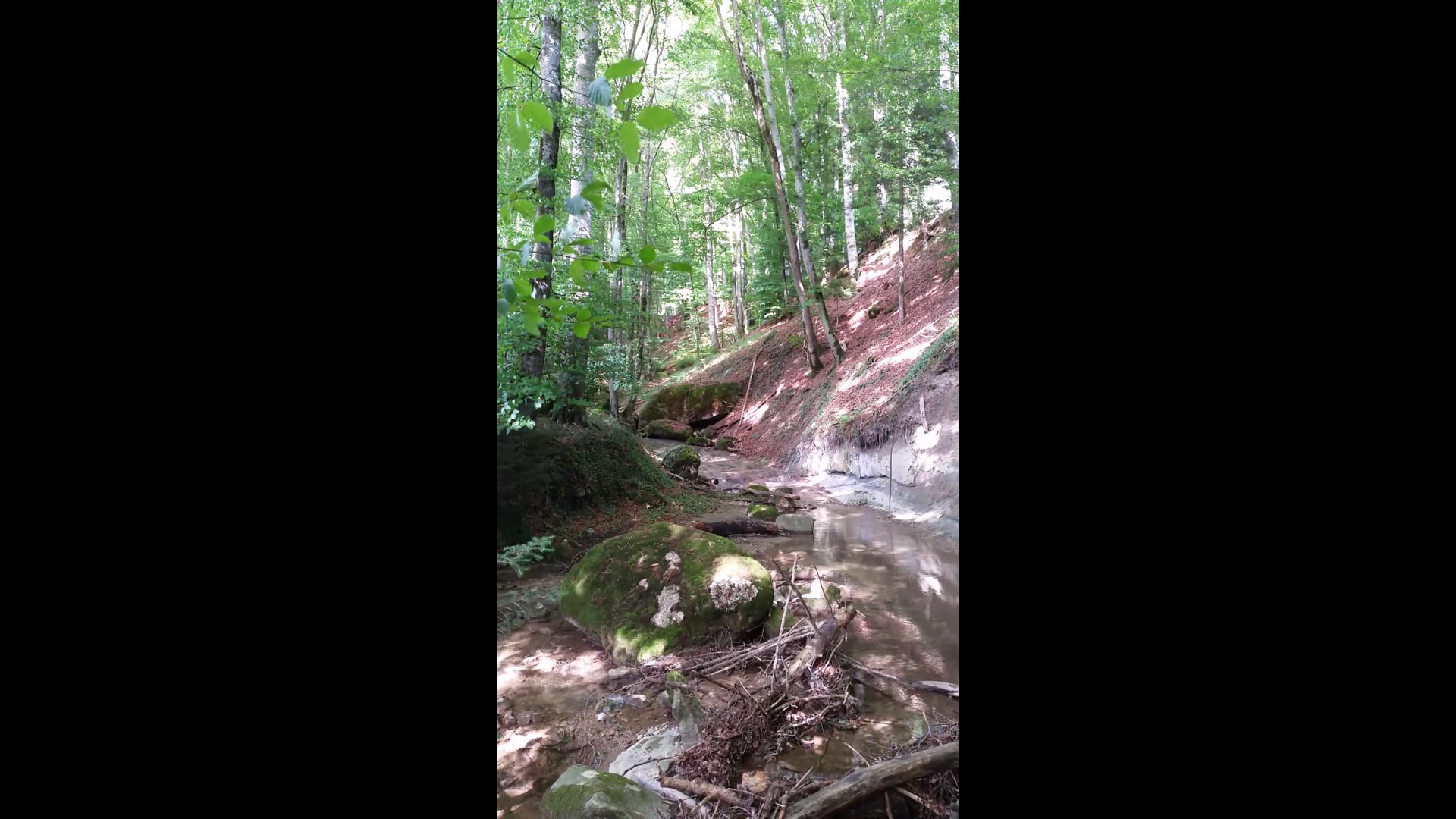 Le Ruisseau