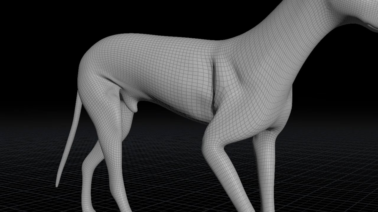 Houdini Vellum Fascia/Skin Simulation[RnD] on Vimeo