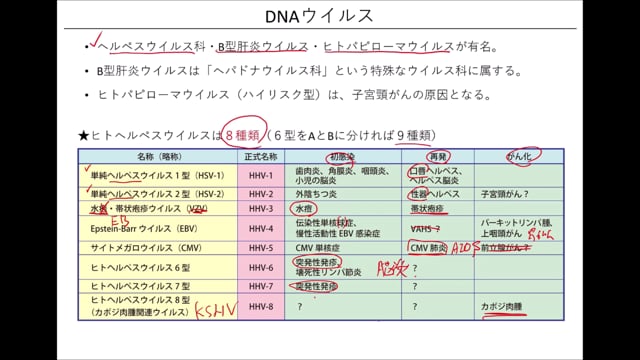 微生物学＜ウイルス編＞（26分）