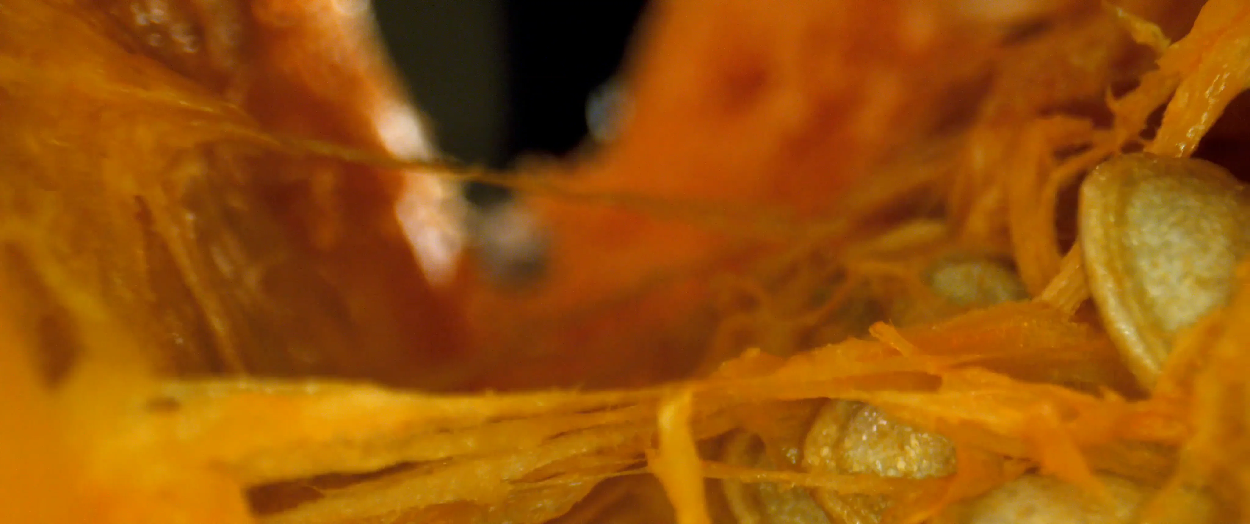 be-lazy-food-spec-film-on-vimeo