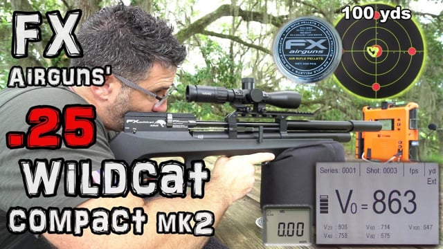 FX Wildcat mk2 Compact .25 - FULL REVIEW - Airgun101