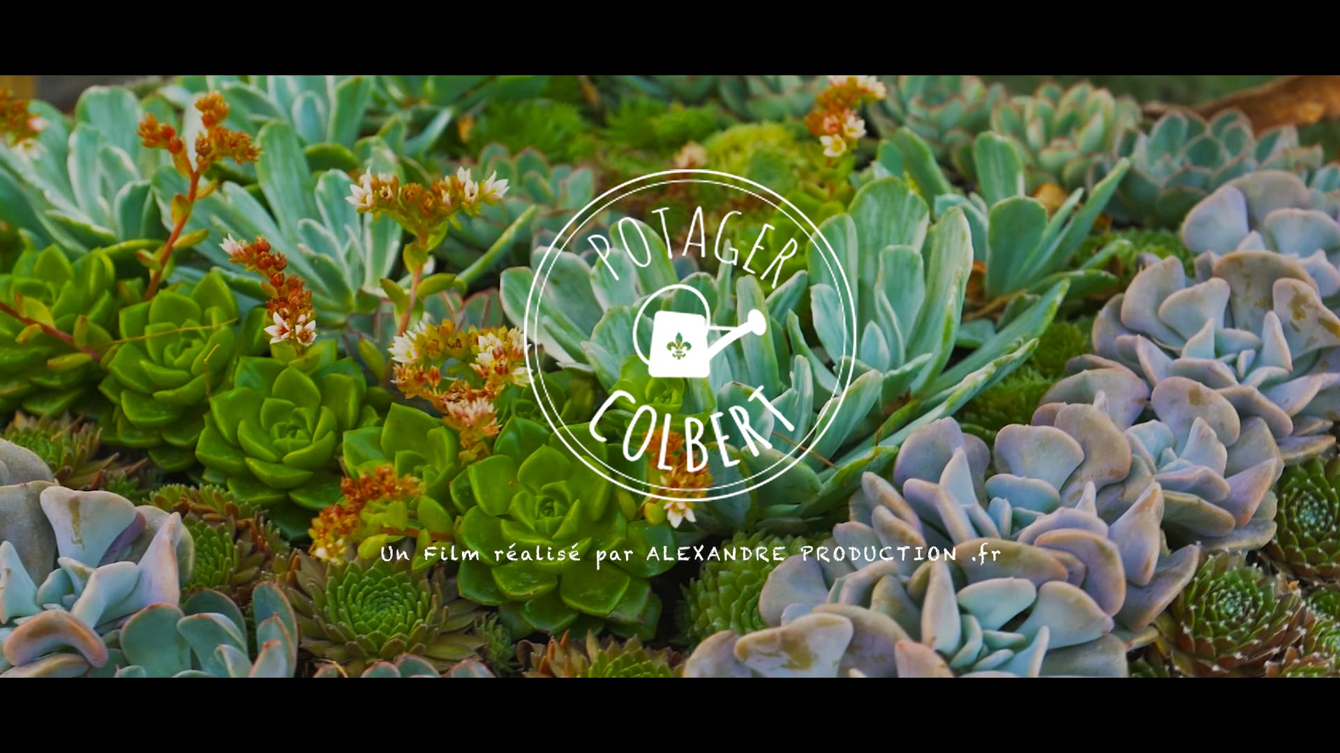 LE POTAGER COLBERT