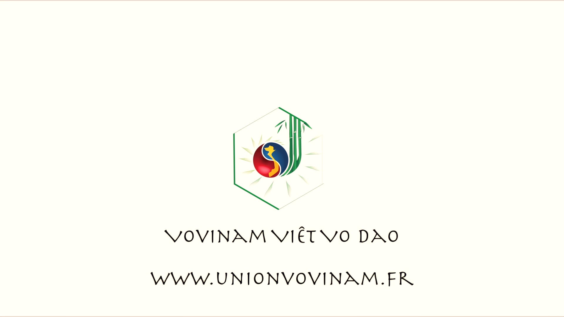 Video Union Vovinam Viet Vo Dao France