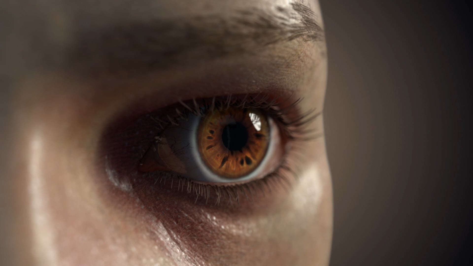 Limbal stem cell