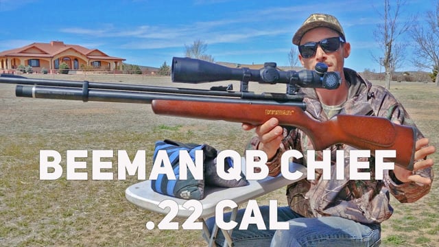 Sun chief essay example 05 picture