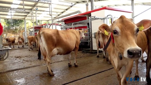 SAT A Campa e Lely, unha alianza a prol da eficiencia productiva