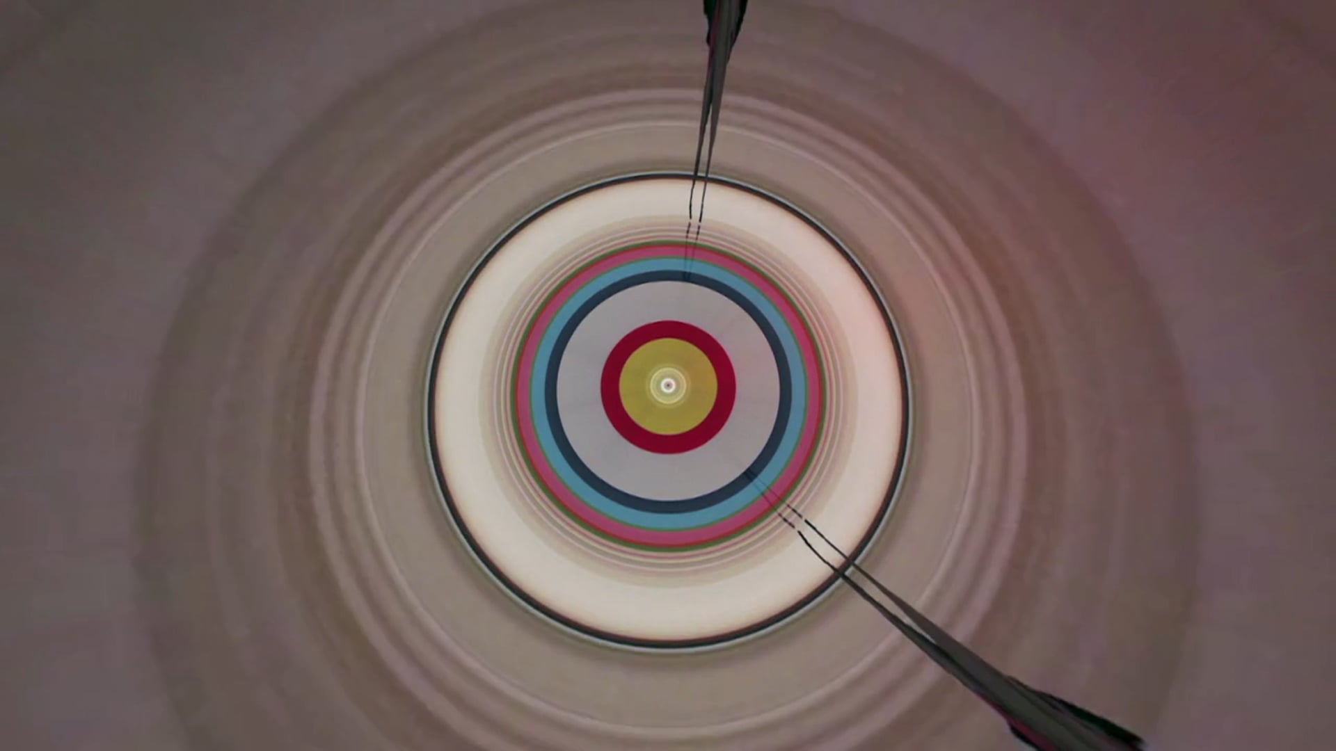 THE TRIP (20 mins version)