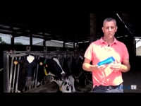 Experiencia en Casa da Grandela SC