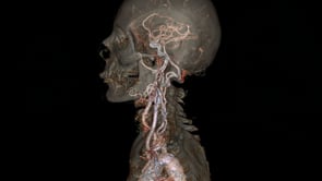 Fujitsu | Project Sagasu