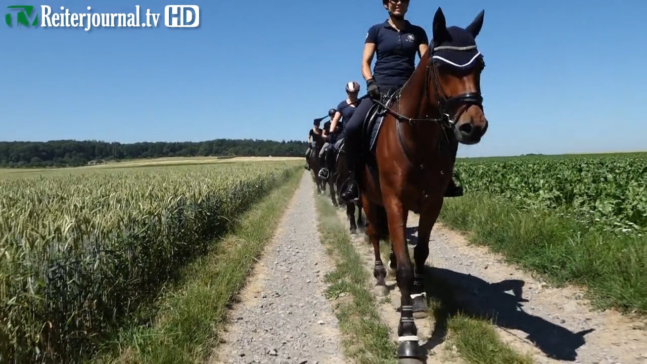 50 Jahre Reiterverein Bietigheim-Bissingen - www.reiterverein-bietigheim-bissingen.de