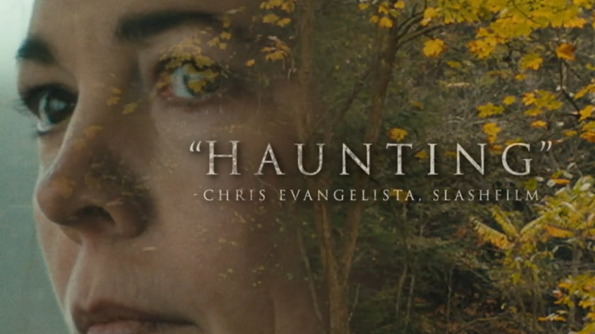 DIGITAL :10 - "ACCLAIM 9x16"