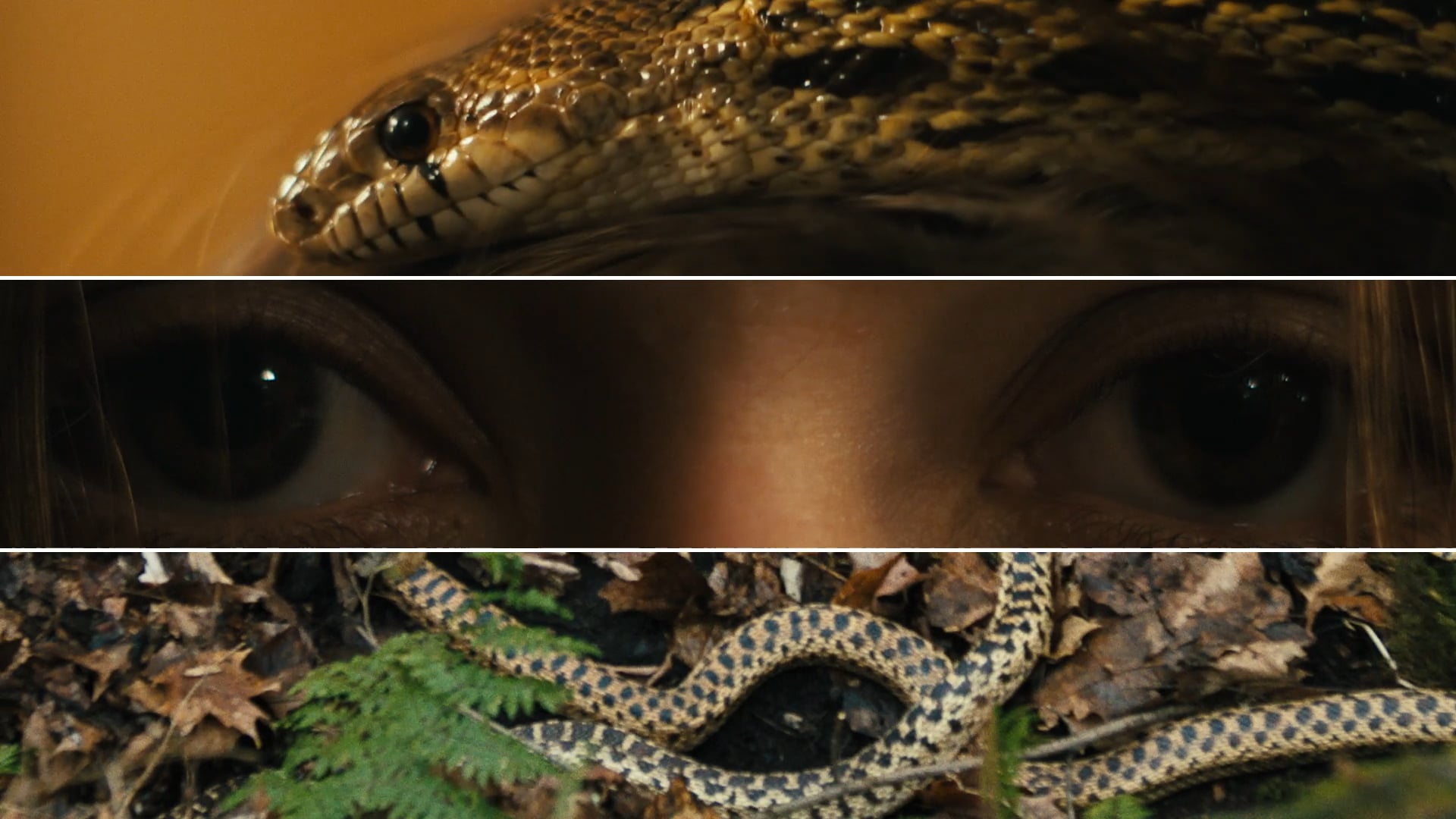 DIGITAL :15 - "SERPENT"