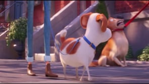 Arriba Mascotas 2