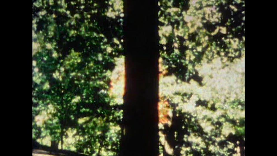 Trees of Syntax, Leaves of Axis