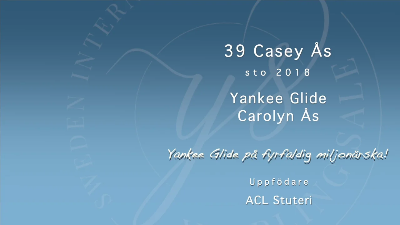 39 Casey Ås  