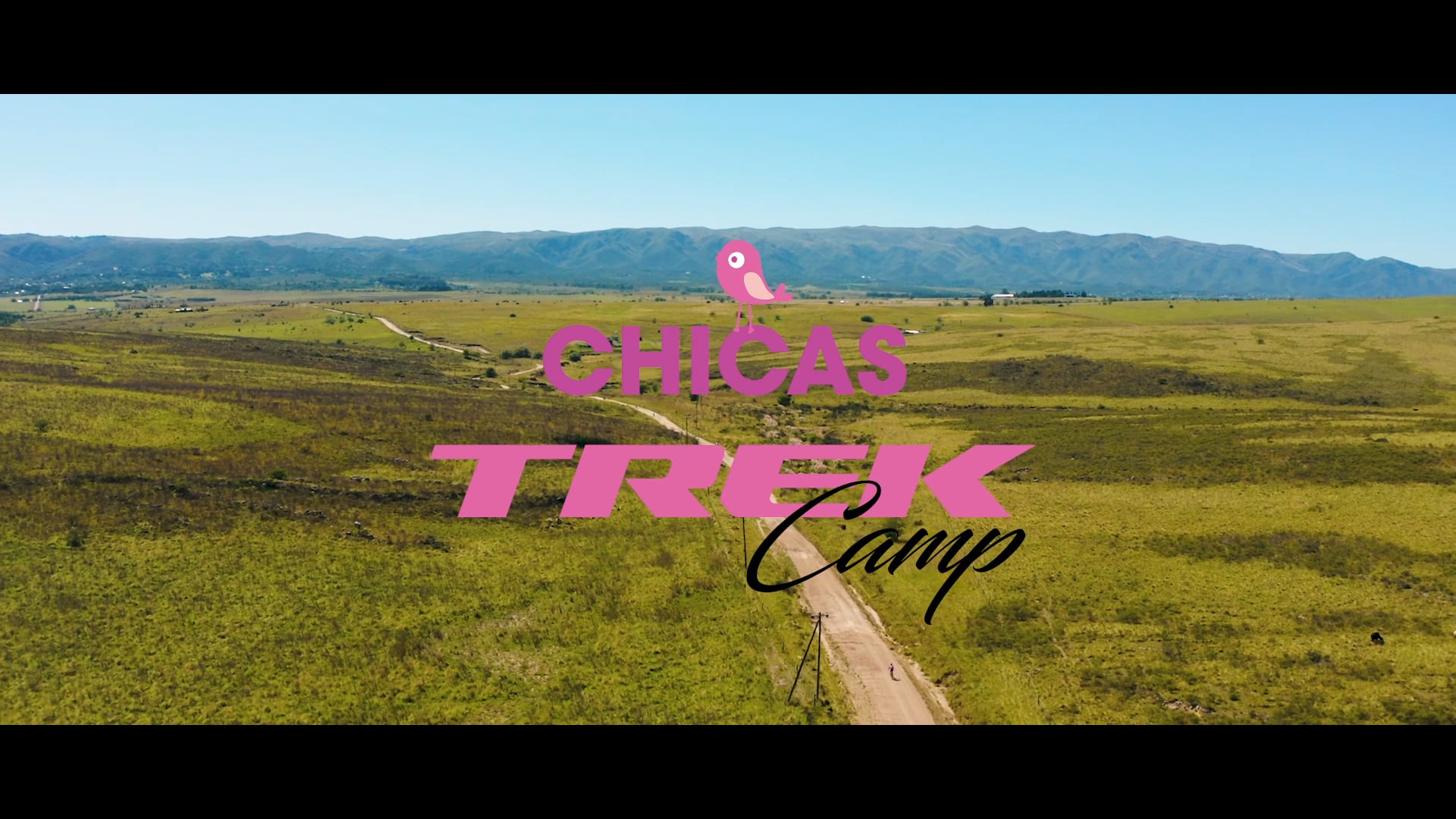 Trek - Contenido
