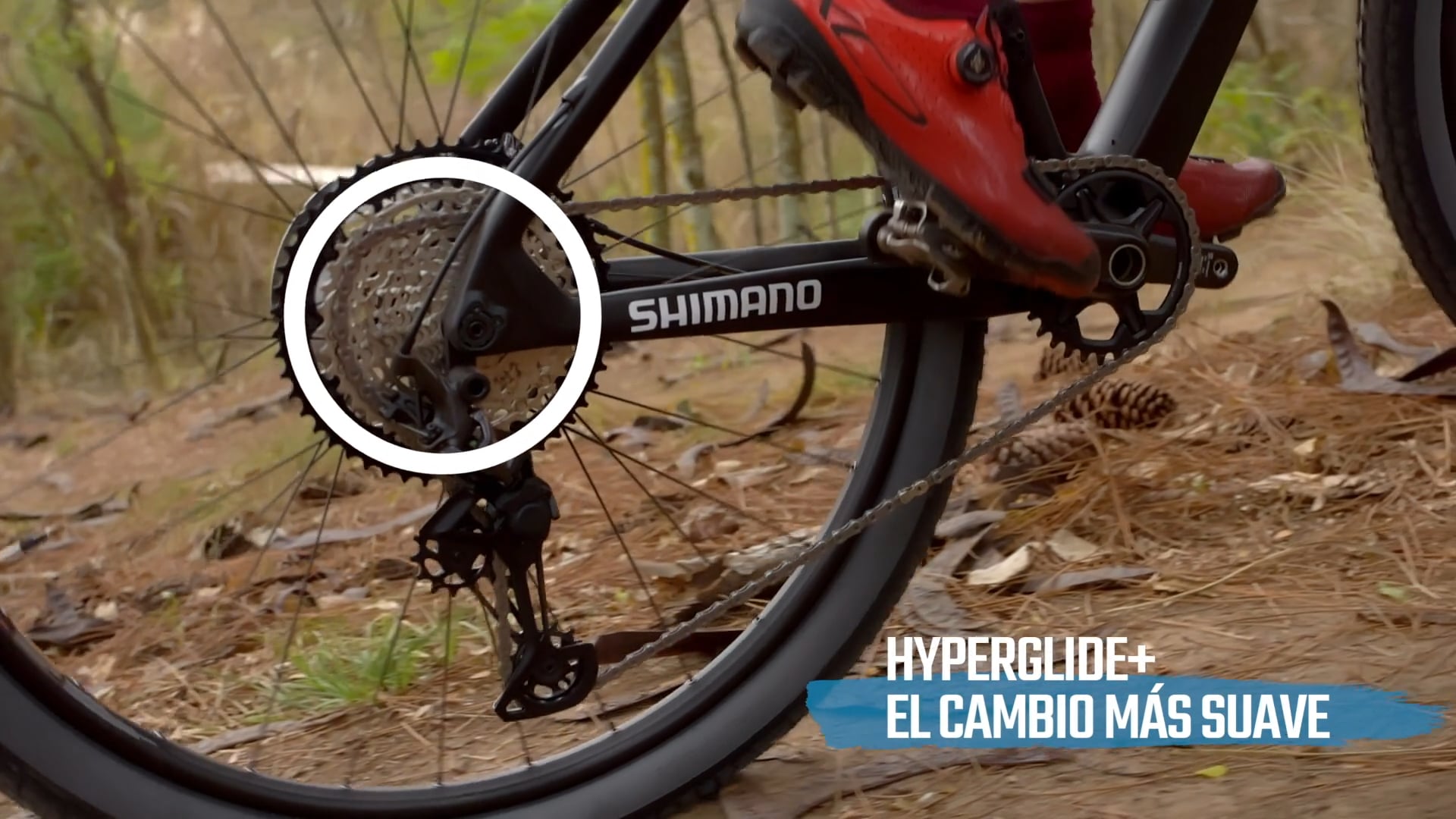 Shimano - Contenido