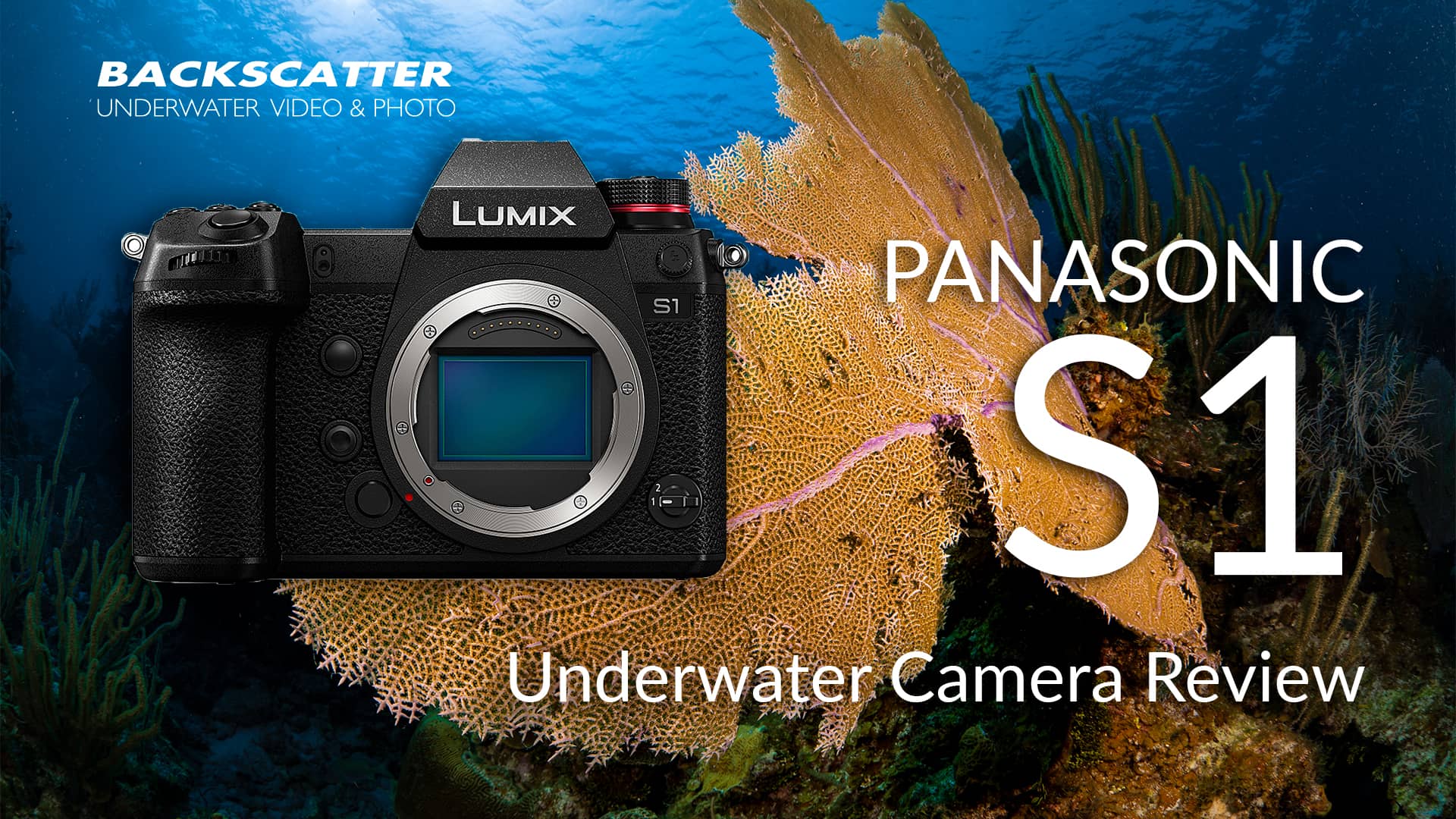 Panasonic S1 Underwater Camera Review on Vimeo
