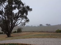 Windera Snow 10th August 2019 11:00