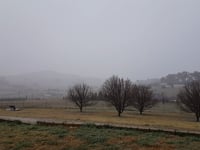 Windera Snow 10th August 2019, 07:06