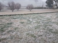 Windera Snow 10th August 2019, 07:10