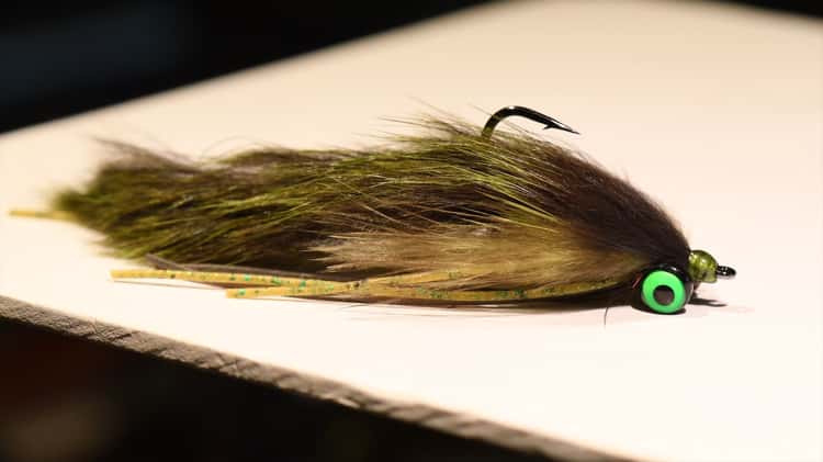 How To Hook A Leech Like A Pro, Blog