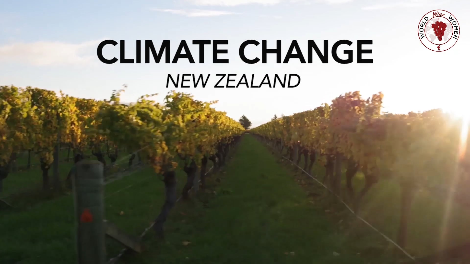 Climate change - New Zealand