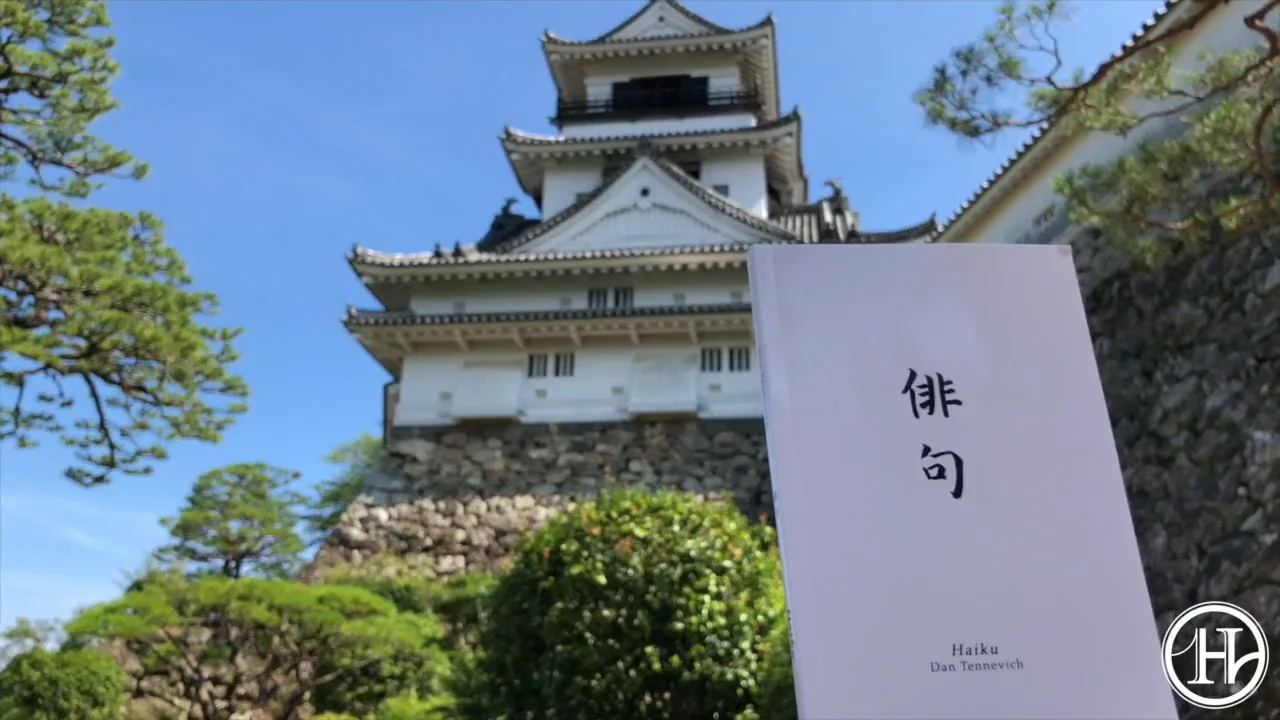 【国内正規総代理店アイテム】 Haiku Book Tannen's – 2.0 Test その他