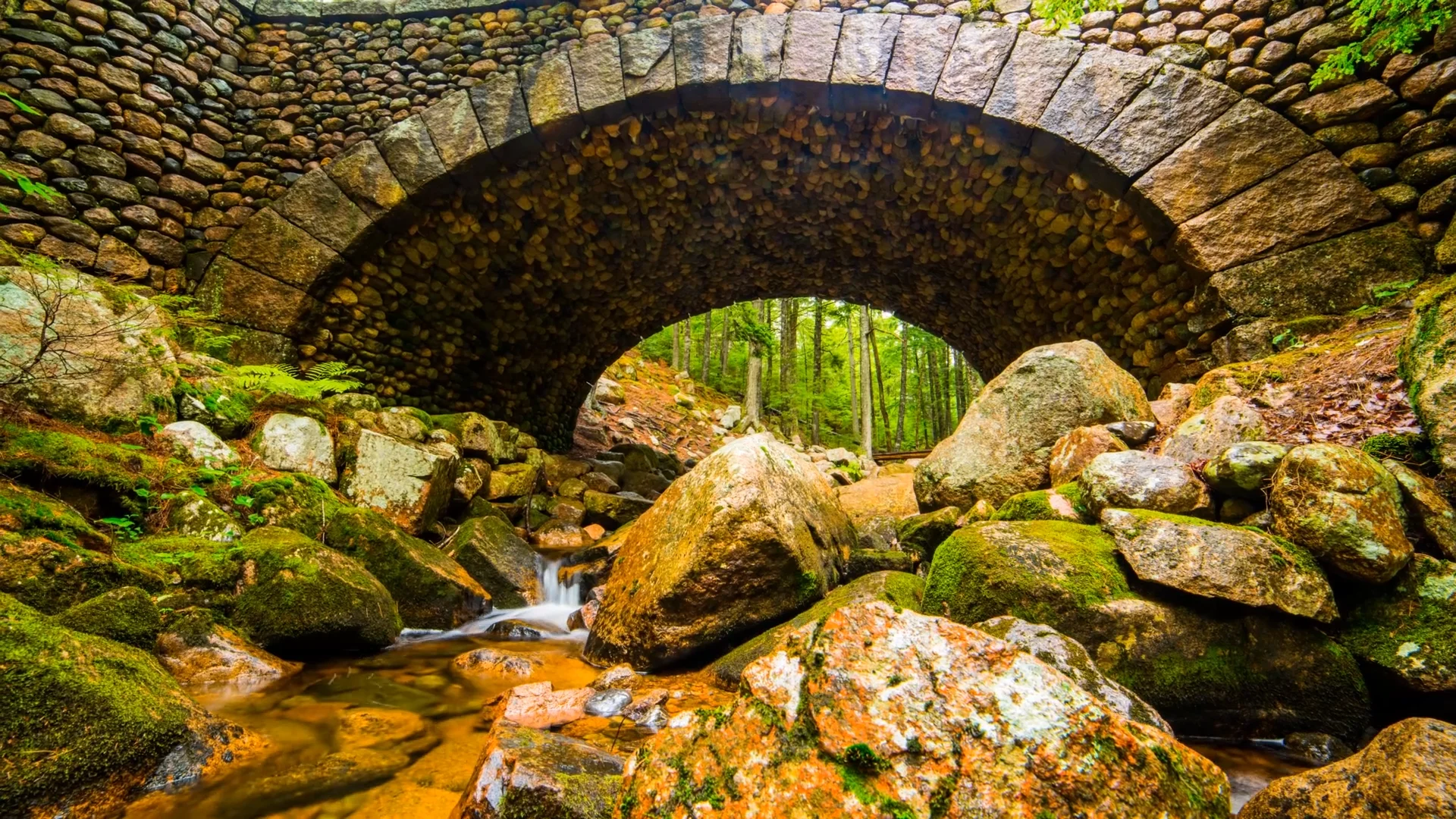 Help Us Restore Acadia's Carriage Road Bridges, image size:1920x1080