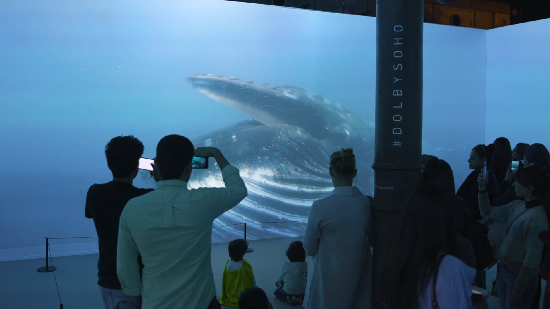 Dolby SOHO Pop-Up Experience. Netflix's Show "Our Planet"