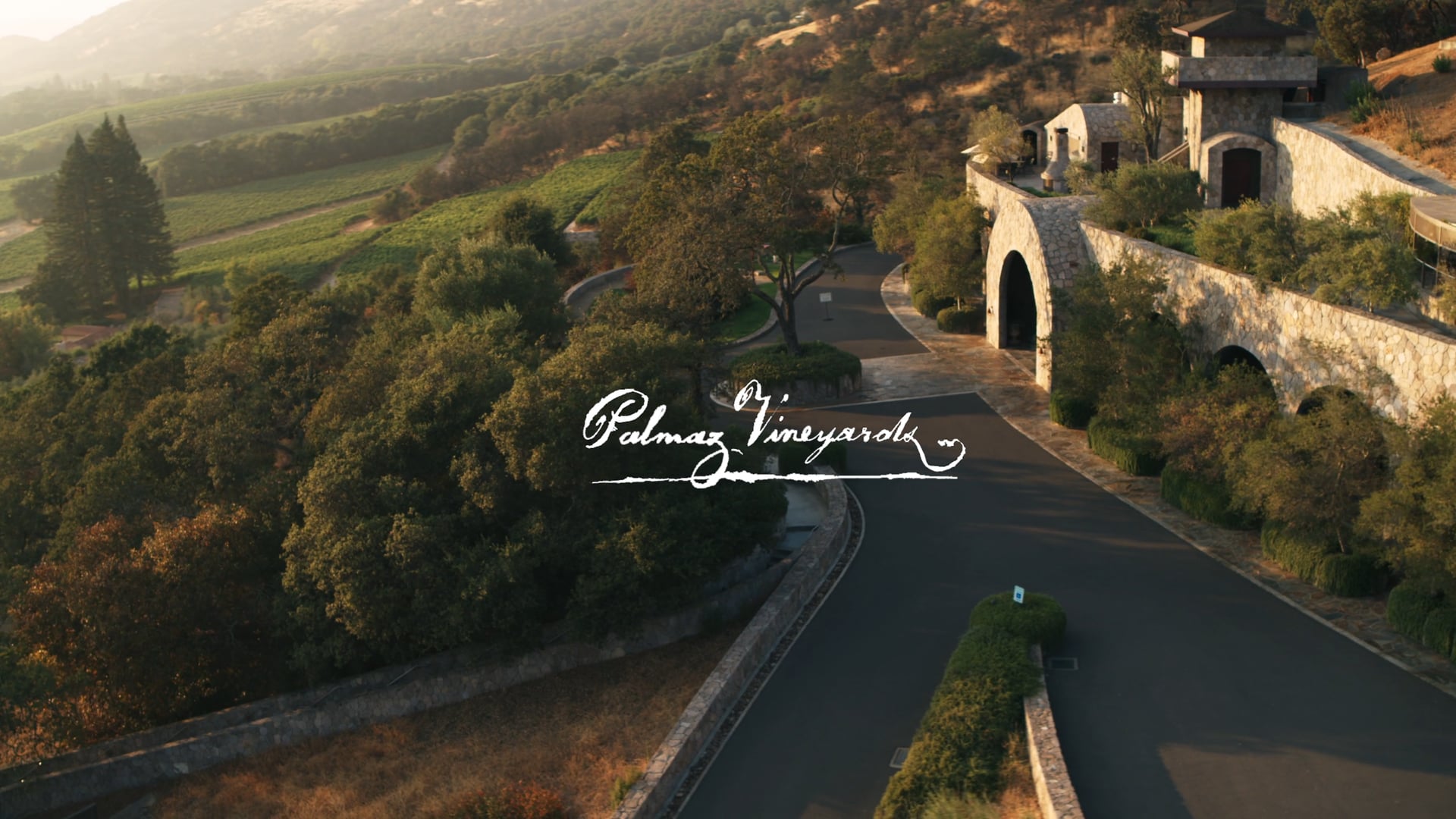 Palmaz Vineyards - Excellence Through Innovation