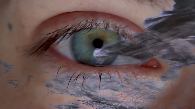 Related Embedded Video Item Thumbnail