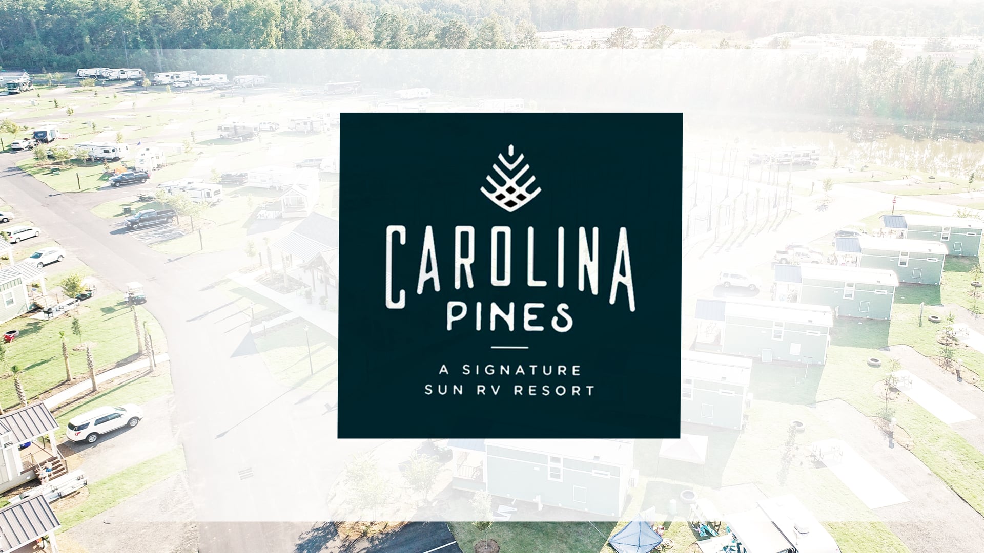 Carolina Pines