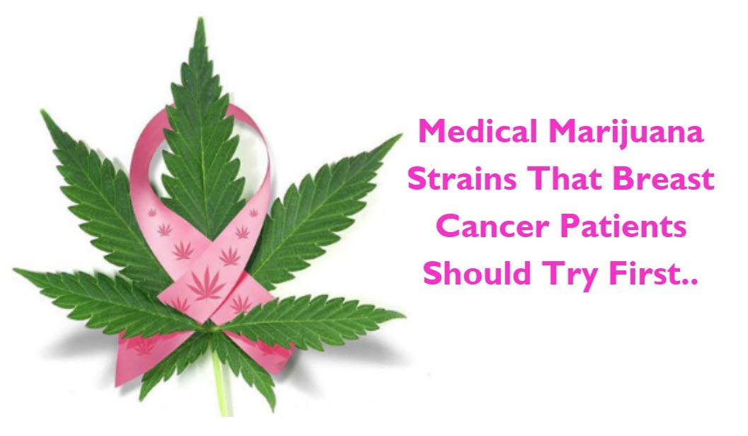 What Medical Marijuana Strains Help With Breast Cancer Patients? On Vimeo