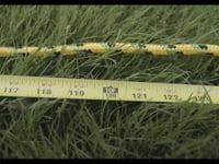 Selecting and Measuring 200 Square Feet